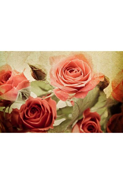 startonight Tablou DualView Startonight Lalele Colorate, 60 x 90 cm