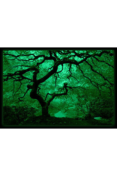 startonight Tablou DualView Startonight Artar toamna, 80 x 120 cm