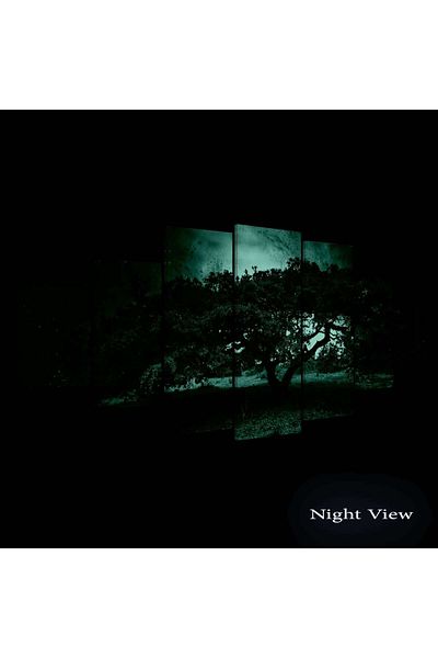 startonight Set Tablou DualView Startonight Copac batran, 7 piese, 100 x 240 cm
