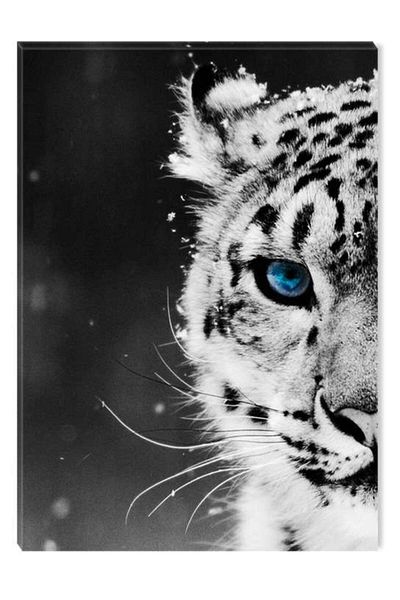 startonight Tablou Alb-Negru Abstract Startonight, Ochi de leopard, 80 x 120 cm