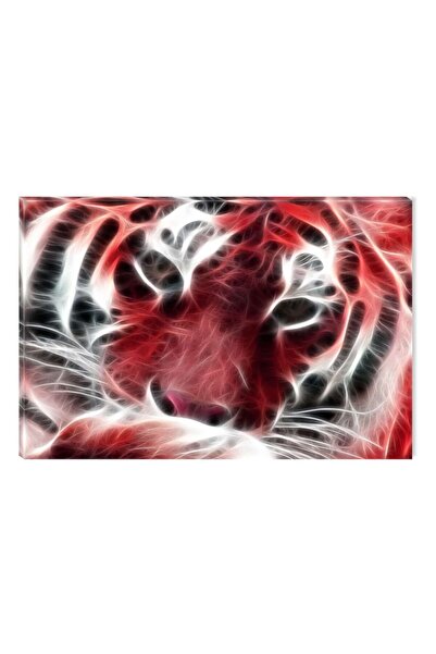 startonight Tablou DualView Startonight Tigru rosu, 80 x 120 cm