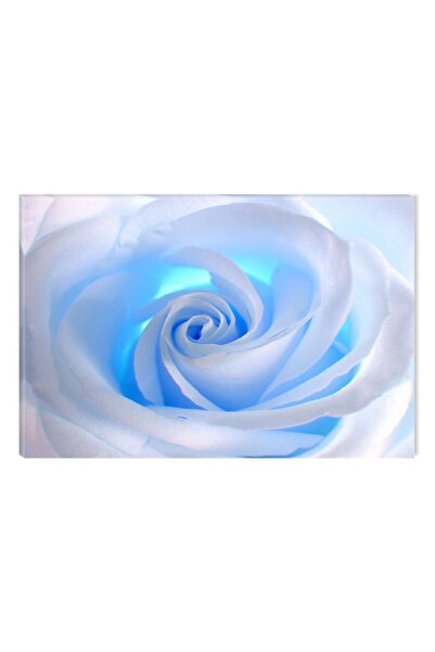 startonight Πίνακας ζωγραφικής DualView Startonight White Rose, 80 x 120 εκ.