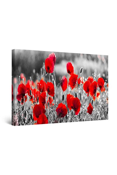 startonight Tablou DualView Startonight Maci infloriti, 80 cm x 120 cm