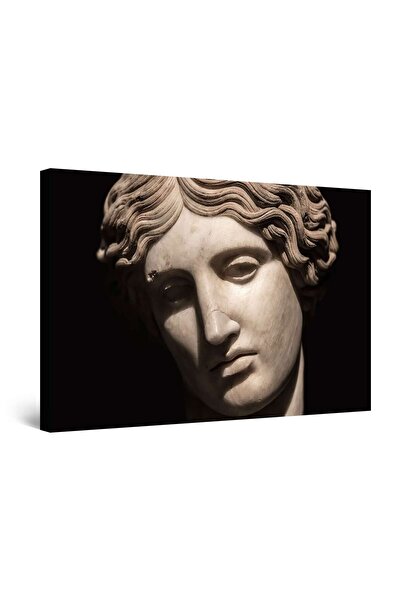 startonight Tablou DualView Startonight Venus din Milo , 90 cm x 60 cm