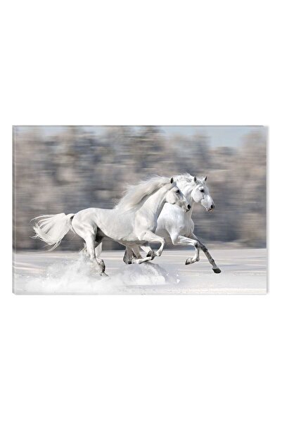 startonight Tablou DualView Startonight Doi cai albi in galop, 60 x 90 cm