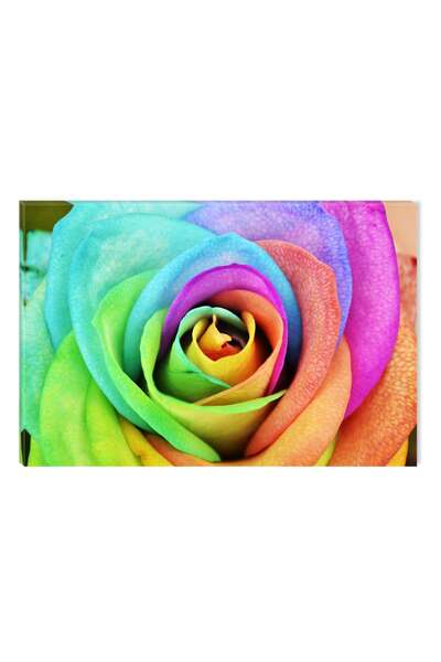 startonight Tablou DualView Startonight Trandafir multicolor, 80 x 120 cm