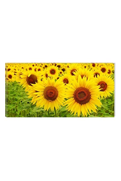 startonight Tablou DualView Startonight E soare!, 60 x 120 cm