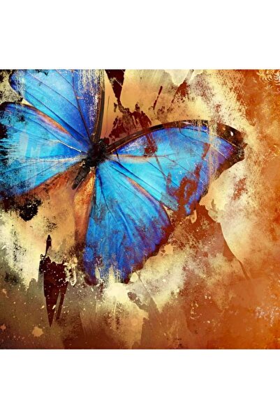 startonight Πίνακας ζωγραφικής DualView Startonight με τιρκουάζ πεταλούδα, 80...