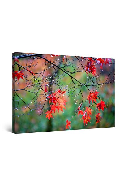 startonight Tablou DualView Startonight Roua Toamnei, 90 cm x 60 cm