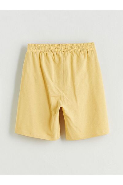 LC Waikiki Ανδρικό σορτς Standard Fit