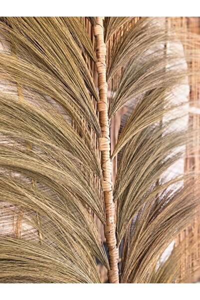 Bambu Bahcem El Yapımı Rattan Bambu Tabanlı Dökülmeyen Püskül Otu Demeti – 200 cm Endonezya Özel Üretim pampas