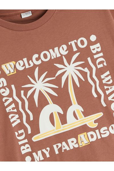 LC Waikiki Crew Neck Boy's T-Shirt