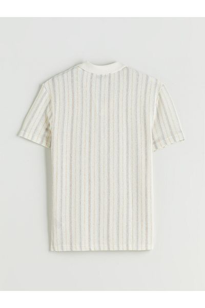LC Waikiki Gestreiftes Herren-T-Shirt mit Polokragen
