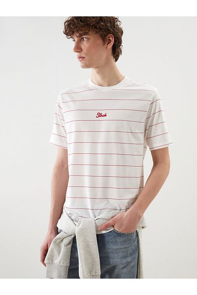 LC Waikiki Crew Neck Striped Combed Cotton Men's T-Shirt