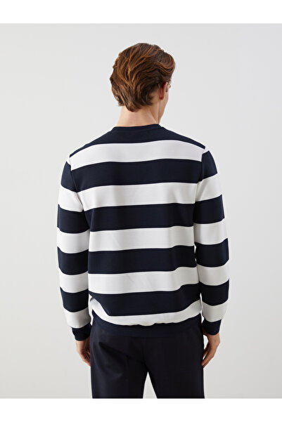 LC Waikiki Велосипедна кофта з довгими рукавами та смужками для чоловіків