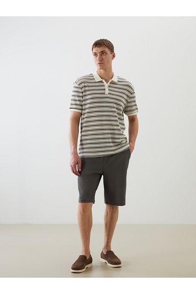 LC Waikiki Ανδρικό σορτς Standard Fit
