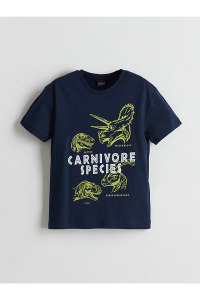 LC Waikiki Crew Neck Boy's T-Shirt