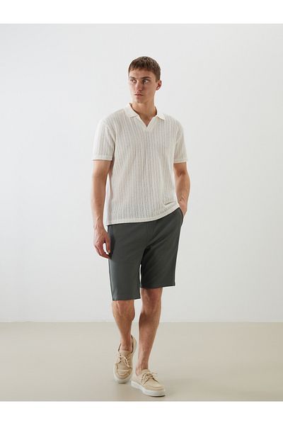 LC Waikiki Ανδρικό μπλουζάκι Polo Neck