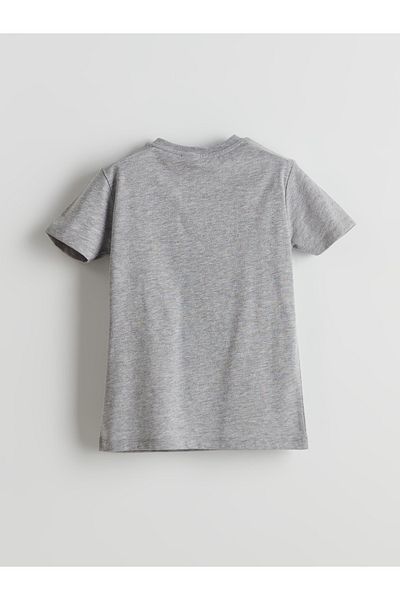 LC Waikiki Crew Neck Boy's T-Shirt