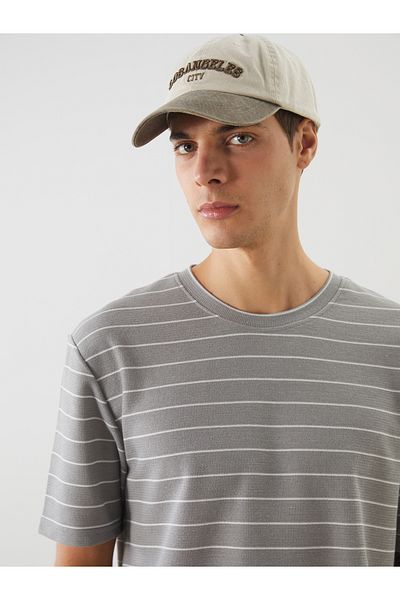 LC Waikiki Crew Neck Striped Men's T-Shirt