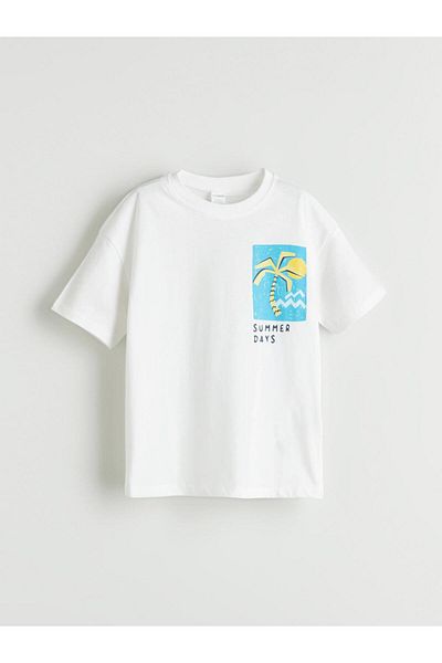 LC Waikiki Crew Neck Printed Boy's T-Shirt