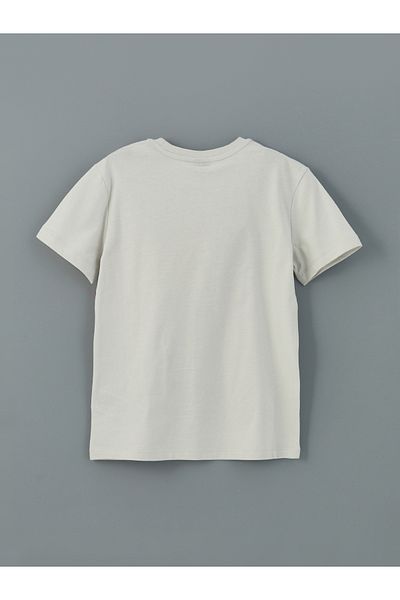 LC Waikiki Crew Neck Boy's T-Shirt