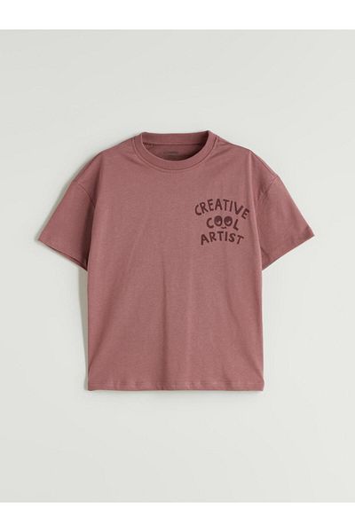LC Waikiki Crew Neck Printed Boy's T-Shirt