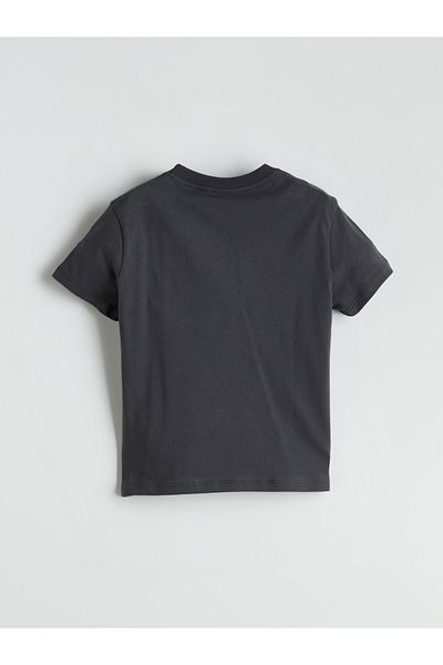 LC Waikiki Crew Neck Printed Boy's T-Shirt