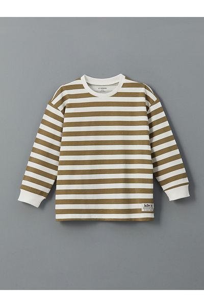 LC Waikiki Crew Neck Striped Boy T-Shirt