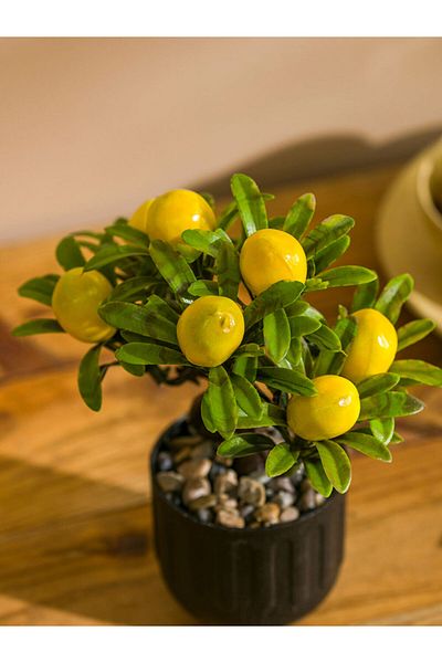 LC Waikiki Μικτό Διακοσμητικό Τεχνητό Λεμονόξυλο 18 cm