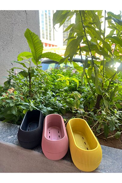 ARTERAS BALKON SAKSI