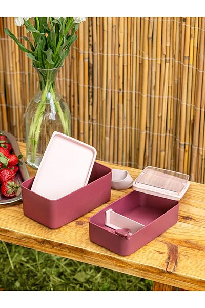 LC Waikiki Plum Plastic Compartment Storage Container