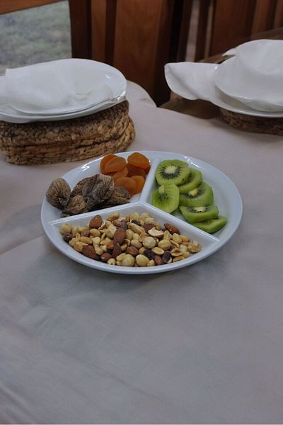 YANPA TİCARET Yanpa /Freya 3 Compartment Diet Portion Plate 1 Grade Melamine Diet Plate