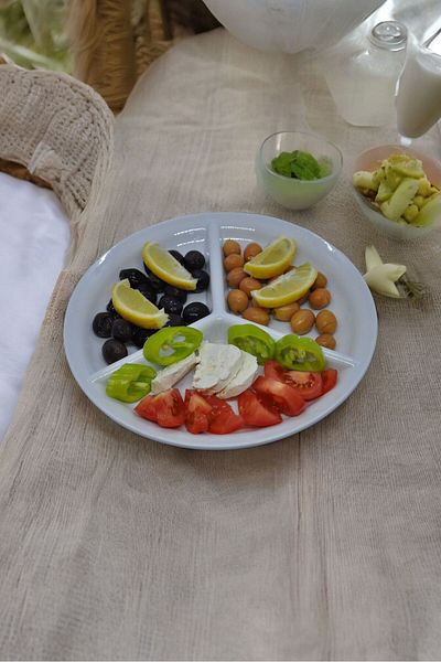 YANPA TİCARET Yanpa /Freya 3 Compartment Diet Portion Plate 1 Grade Melamine Diet Plate