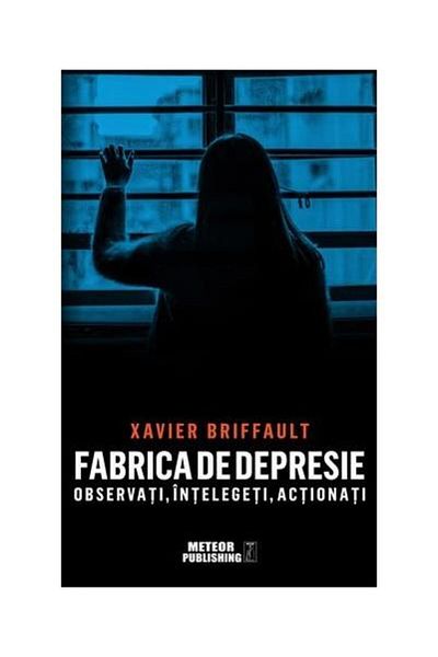 Editura Meteor Press The Depression Factory: Observe, Understand, Act
