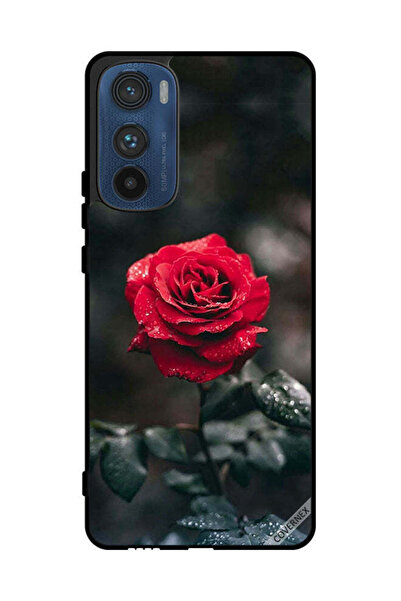 Covernex Protective Case Cover For Motorola Edge 30 Rose