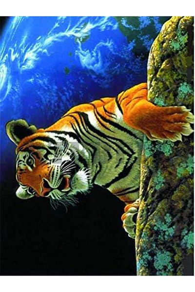Mena Rise ŞirinShop نقل سهل كبير 23x34 سم أرضية خارجية 1375V 1108107