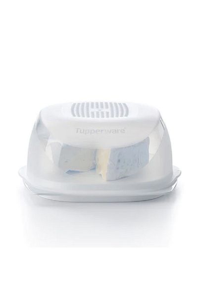 Tupperware BPA-Free Dishwasher Safe Plastic Cheesmart Server
