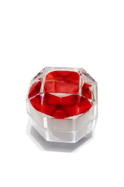 NO BRAND Set of 20 plastic boxes with transparent lid, red velvet interior 4x4x4 cm