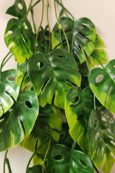 ALSHOP Sarkan Monstera Deve Tabanı Yapay Sarmaşık Pastel 70cm