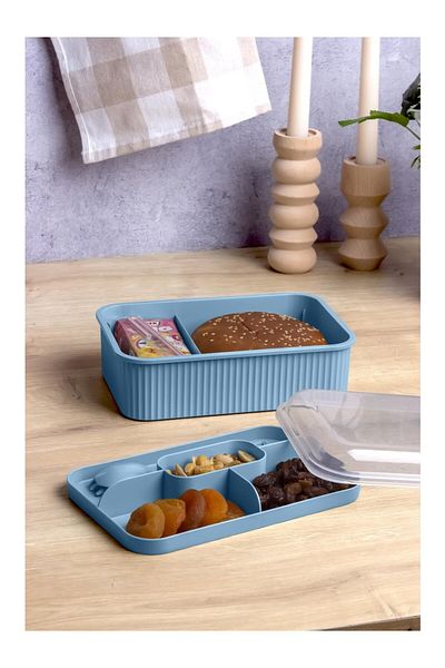 Milena Life Striped 5 Compartment Lunch Box with Fork and Spoon Transparent Lid Leakproof Lunch Box School Office 1 Piece