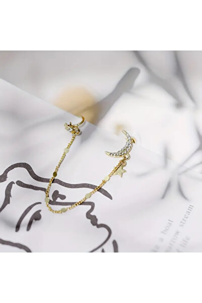 Carolina Jewelery Paslanmaz Çelik Ay ve Yıldız Küpe