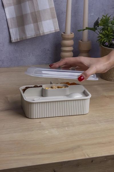 Milena Life Striped 5 Compartment Lunch Box with Fork and Spoon Transparent Lid Leakproof Lunch Box School Office 1 Piece