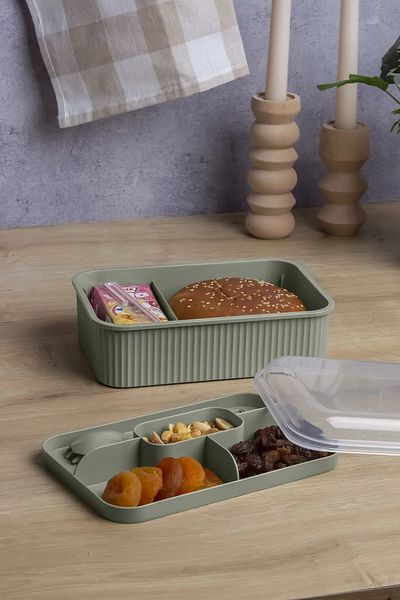 Impress Striped 5 Compartment Lunch Box with Fork and Spoon, Leakproof Lunch Box with Transparent Lid, School Office, 1 Piece