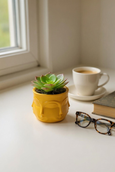 ardesta Vază figurată din pulbere de piatră realizată manual + suculente vii |   Decorativ albastru cobalt și opțiune de cadou