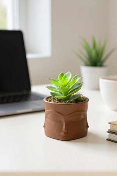 ardesta Vază figurată din pulbere de piatră realizată manual + suculente vii ...