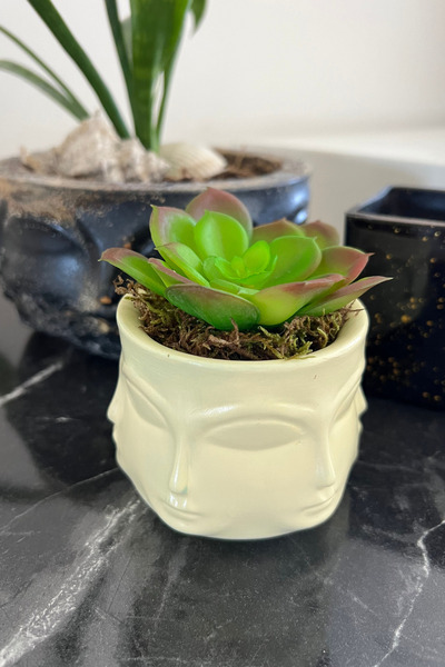 ardesta El Yapımı Taş Tozu Yüz Figürlü Vazo + Canlı Sukulent | Dekoratif Saks...