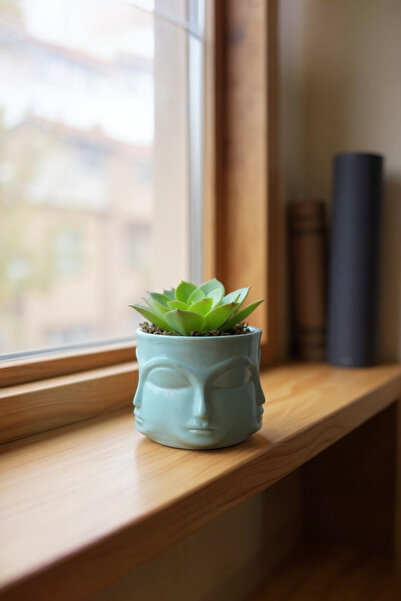 ardesta Vază figurată din pulbere de piatră realizată manual + suculente vii ...