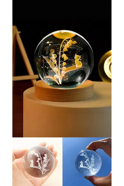 Wolawood Premium Crystal Glass Snow Globe 3D Lighted Figurine Lamp Wooden Base Led Decorative USB Gift Set