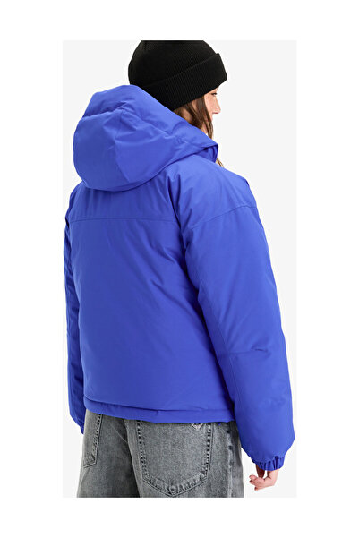 Roxy Dusky Haze – Kaltwetterjacke für Damen